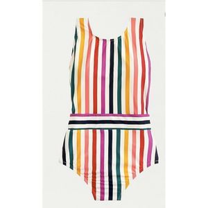 NWT J. Crew Rainbow Stripe Bathing Suit 6